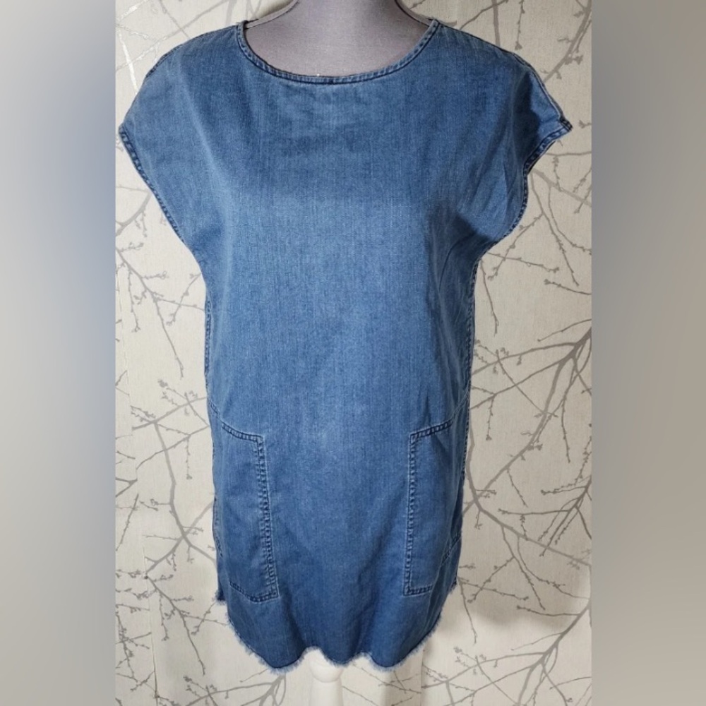 Aritzia Wilfred Light Blue Denim Dress